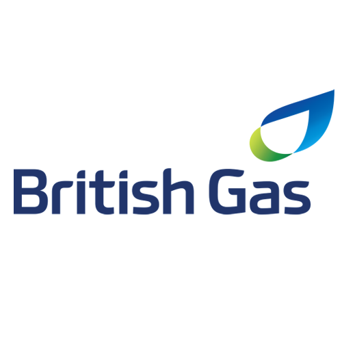 Anne Stone Casting Director London has worked for British Gas